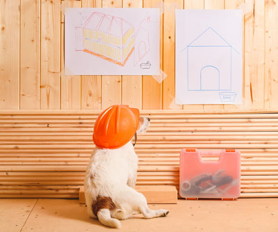 Building a Home for Your Pampered Pet