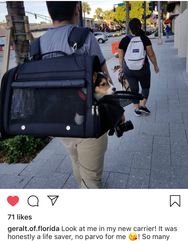 Prefer Pets 358 Hideaway™ Backpack XL Pet Carrier – Prefer Pets