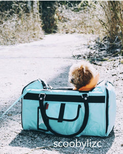 scoobylizc in Prefer Pets Hideaway Aqua Duffel Pet Carrier