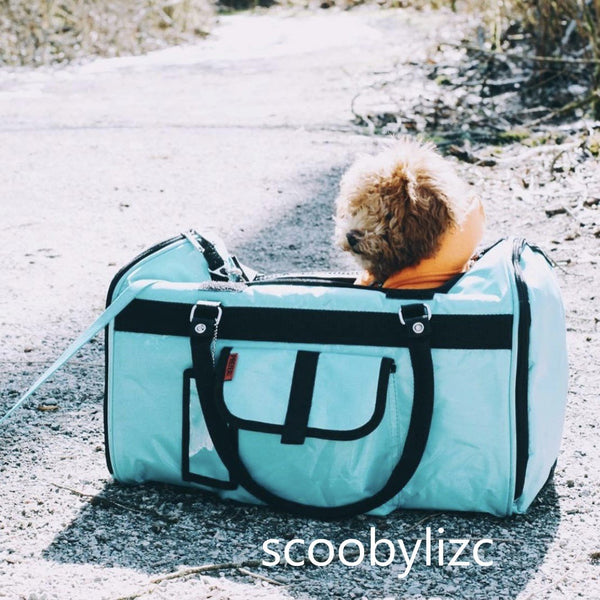 scoobylizc in Prefer Pets Hideaway Aqua Duffel Pet Carrier