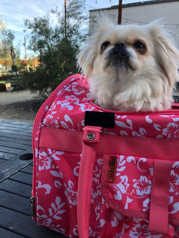 312 Hideaway™ Duffel - Pet Carrier