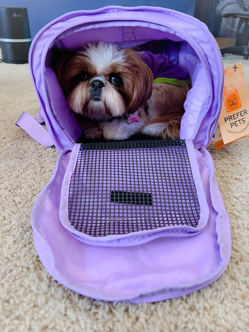 312 Hideaway™ Duffel - Pet Carrier