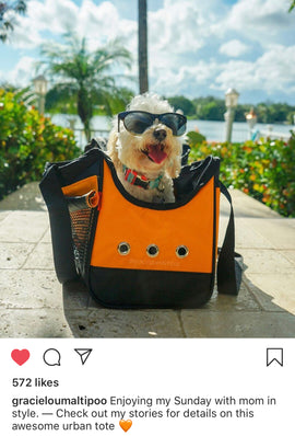 949 Urban Tote - Pet Carrier